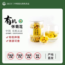 有机怀菊花®品味级河南焦作特产茶饮黄菊花
