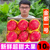广西火龙果红心新鲜10斤当季海现摘南孕妇水果金都一号整箱红肉果