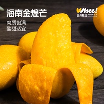 会员精选-金煌芒新鲜芒果3斤当季热带水果甜心芒青皮水仙芒果