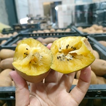 【果客】四川蒲江·黄心猕猴桃·现摘新鲜奇异果当季孕妇水果软甜