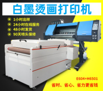 源头厂家白墨烫画打印机抖粉烘干机DTF柯式喷墨打印机