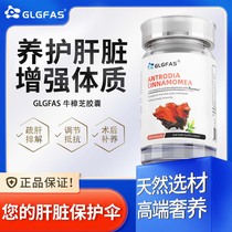 GLGFAS美国进口牛樟芝胶囊台湾椴木实体重症术后恢复护肝调理正品