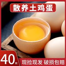 我老家土鸡蛋新鲜农家柴鸡蛋笨鸡蛋月子蛋鲜林间散养谷物蛋40枚