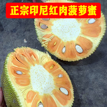 正宗印尼红肉菠萝蜜一整个新鲜进口水果红心菠萝蜜泰国越南木菠萝