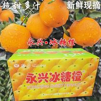 包邮正宗纯甜湖南特产郴州永兴冰糖橙子新鲜水果10斤18斤
