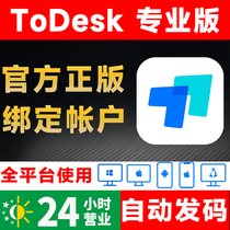 todesk专业版会员一年手机控制电脑远程软件激活码兑换码