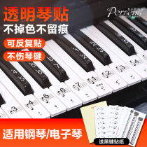 钢琴键盘贴纸电子琴琴键贴电钢琴五线谱简谱音标贴88健61键音符贴