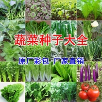 家庭蔬菜种子四季阳台盆栽香菜菠菜生菜萝卜辣椒小葱番茄籽孑大全
