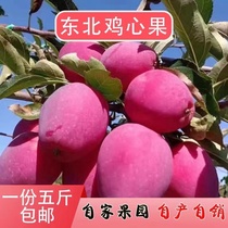 新鲜应季东北鸡心果海棠果大秋果龙丰果吉林苹果水果