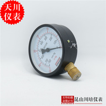 上海天川仪表厂 真空压力表 -760mmHg -30inHg  YZ-100 负压表