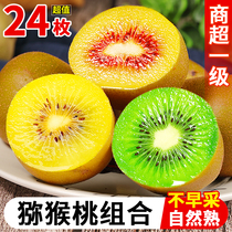 三色猕猴桃红黄绿心30枚组合装应当季水果精选大果狝泥弥猴桃特级