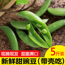 云南新鲜蔬菜带壳甜豆鲜豌豆荚青豌豆非荷兰豆不剥壳甜豌豆5斤