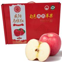 【优质农产品】陕西红富士12枚装85-90苹果礼盒 多汁