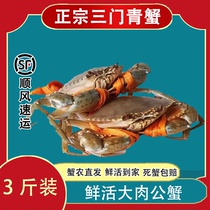 三门鲜活螃蟹 青蟹鲜活特大超大肉蟹公蟹非黄油蟹猷蠓海鲜水产3斤