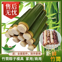 手工竹筒粽子模具纯天然家用商用摆摊专用竹筒糯米饭神器新鲜竹筒