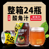 云南特产酸角汁饮料酸甜角果汁整箱批特价低价商用好喝的饮料饮品