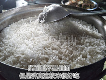 大米新鲜大米 自家种了吃的大米 软米 稻谷 米饭 每份500克