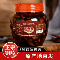齐松安徽特产铜陵白姜酱汁生姜原产地腌制罐装糖醋酸甜泡嫩仔姜芽