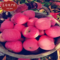 洛川苹果陕西正宗延安脆甜红富士产地直销当季整箱新鲜苹果水果10