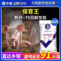 华畜全价料预混料育肥备母猪小猪哺乳猪妊娠猪增重肥猪保育王饲料