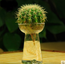 风信子水培火炬花边水塔透明玻璃器皿 绿萝仙人球花瓶 桌面花盆