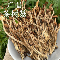 本月刚采茶树菇干货特产  农家自产不开伞茶树菇250克干货 茶树菇