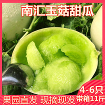 上海南汇玉菇甜瓜10斤 农家当季新鲜水果哈密瓜羊角蜜香瓜玫珑瓜