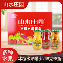 山东临沂特产 山水庄园 冰糖水果罐头黄桃草莓山楂罐头 248g*8瓶