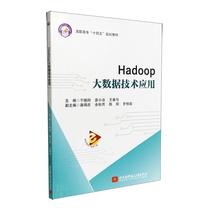 正版Hadoop大数据技术应用于晓刚书店工业技术书籍 畅想畅销书