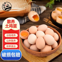 鸡蛋我老家新鲜谷物鸡蛋正宗农家土鸡蛋生鲜单枚新鲜散养谷物蛋