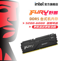 金士顿FURY DDR5 5200/5600/6000 32G/16G台式机内存电竞超频灯条