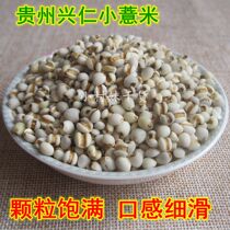 农家优质高山小薏米苡仁米薏米仁500g杂粮比贵州浦城宁化