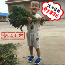 新货黑龙江省天然野生黄芩叶野生黄芩茶小黄芩茎叶500克无硫 包邮