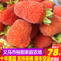 鲜果红树莓新鲜掌叶覆盆子三月泡蓬蘽野生山莓大草莓孕妇水果刺萢