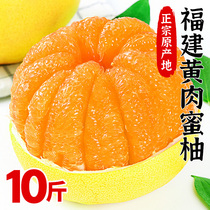 福建平和黄心柚子10斤新鲜水果整箱包邮蜜柚应当季葡萄黄肉叶琯溪