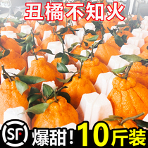 正宗特级四川不知火丑橘10斤水果新鲜当季桔子耙耙粑粑丑柑橘子甜