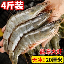 新鲜大虾鲜活基围虾超大青岛海虾冻虾对虾青虾2030盐冻虾海鲜水产