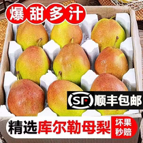 【现货速发】新疆库尔勒香梨全母梨子水果新鲜当季整箱10斤大果