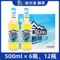 Harbin/哈尔滨啤酒 醇萃 大瓶装 500ml 哈尔滨醇萃 正品新货