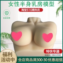 女性乳房模型 仿真硅胶催乳师培训教学教具女性乳房模型 人体模型