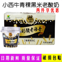小西牛酸奶 青海特产老酸奶青稞黑米藏之宝 150gx12 高原特产 包