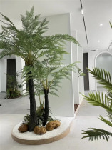 仿真大型桫椤树大型蕨类植物假沙罗树热带雨林室内外造景落地装饰