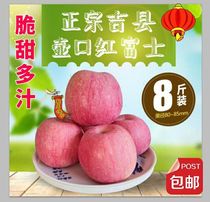 吉县红富士苹果8斤装非洛川苹果烟台苹果整箱好吃的