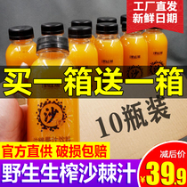 吕梁野山坡沙棘汁10瓶生榨果汁原浆饮料饮品野生沙棘酸甜果汁VC