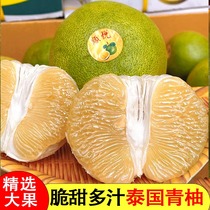 泰国青柚进口水果包邮沙田白糖蜜柚蜂蜜柚整箱红宝石青皮白心柚子