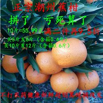 新鲜水果潮汕蕉柑超划算现摘树上熟潮州甜橘子焦柑桔大果整箱10斤