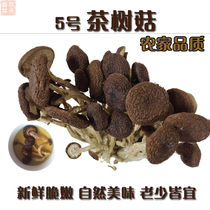2020新货茶树菇干货 江西黎川农家自种茶树菇 天然不开伞500g包邮
