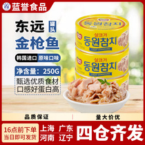 整箱36罐韩国原装进口东远金枪鱼原味罐头吞拿鱼油浸饭团即食250g
