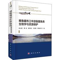 雅鲁藏布江中游裂腹鱼类生物学与资源保护 谢从新 等 著 生物科学 专业科技 科学出版社 9787030601568