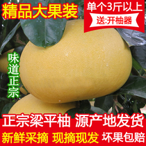 重庆土特产梁平柚梁山柚平顶柚麻柚子现摘新鲜当季时令水果25斤